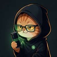 Catoshi NFT #001: a hooded cat in green glasses